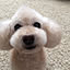 souchan