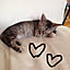 chiho
