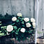 __emi__0817