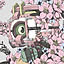 Daisuke