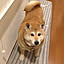 __fumi
