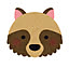 Raccoon