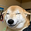 shibako