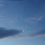 nhibio