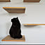 gatya_207