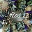 FLOS