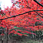 junkana