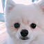 yuko