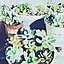 2mama_taniku_3jb