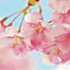 ma.yu.ge