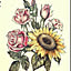 c.k.c0920