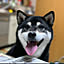 Shoko