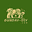 Sunday-DIY