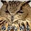 MAG_nesium56