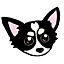 shie