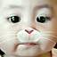 chi_chi1210