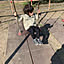 yansan