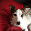 lily-0715
