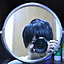 Masashi