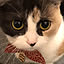 nininitty