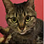 cleo1213
