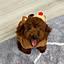 suparo-