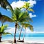 HauOli