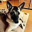 Yuko