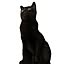 Blacky
