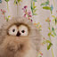 nico-nico-owl