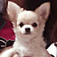 kina