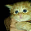 n0bkaa..