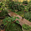 f.garden