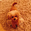 ichi3