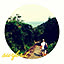 surf5573414