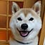 smile