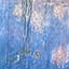 bluestar