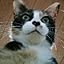 catLover