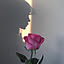 for.a