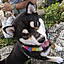 kote