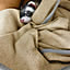 straycat