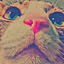 yucat