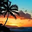 aloha
