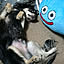 kurochi-