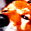 ekubo3