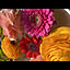 sakito_0190777