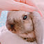 jun