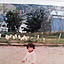 Michi