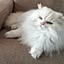 maro