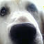 hapio